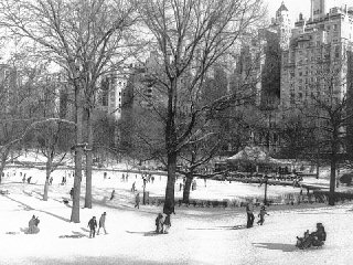Modern day sledding in Central Park