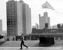 Kite photography