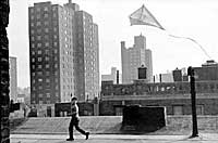 Kites flying on roof