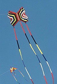 Kites at Smithsonian Kite Festival