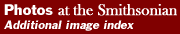 Streetplay at the Smithsonian: Additional image index